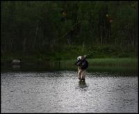 Bifogad bild: norge2010augusti700.jpg